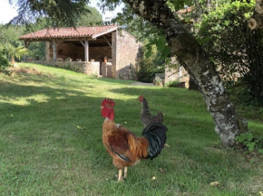 Le Gîte de lescarcelles proche du château de Bonaguil, Cuzorn